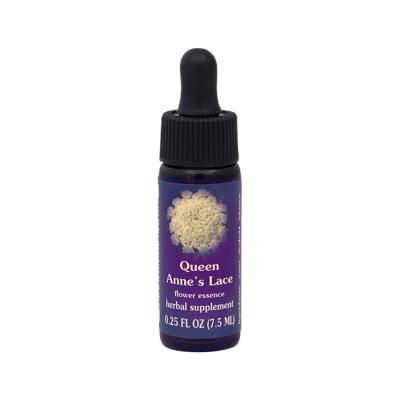 FES Organic Quintessentials Flower Essence Queen Anne's Lace 7.5ml